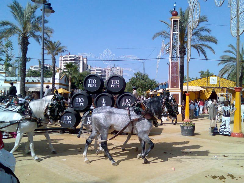 Situado a 1 km del centro de Jerez de la Frontera, junto a la Escuela Andaluza del Arte Ecuestre y el parque Hontoria. La plaza de toros de Jerez y el centro histórico están a 20 minutos a pie. El hotel presenta una decoración tradicional con muebles de madera. Todas las habitaciones están equipadas con aire acondicionado, TV vía satélite y baño con albornoz, zapatillas y artículos de aseo. Dispone de conexión Wi-Fi gratuita, piscina al aire libre y spa. Está ubicado en unos bonitos jardines y ofrece habitaciones con TV de pantalla plana y copa de vino de bienvenida.